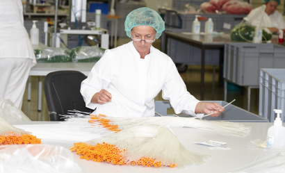 Katheterproduktion bei MEDINORM